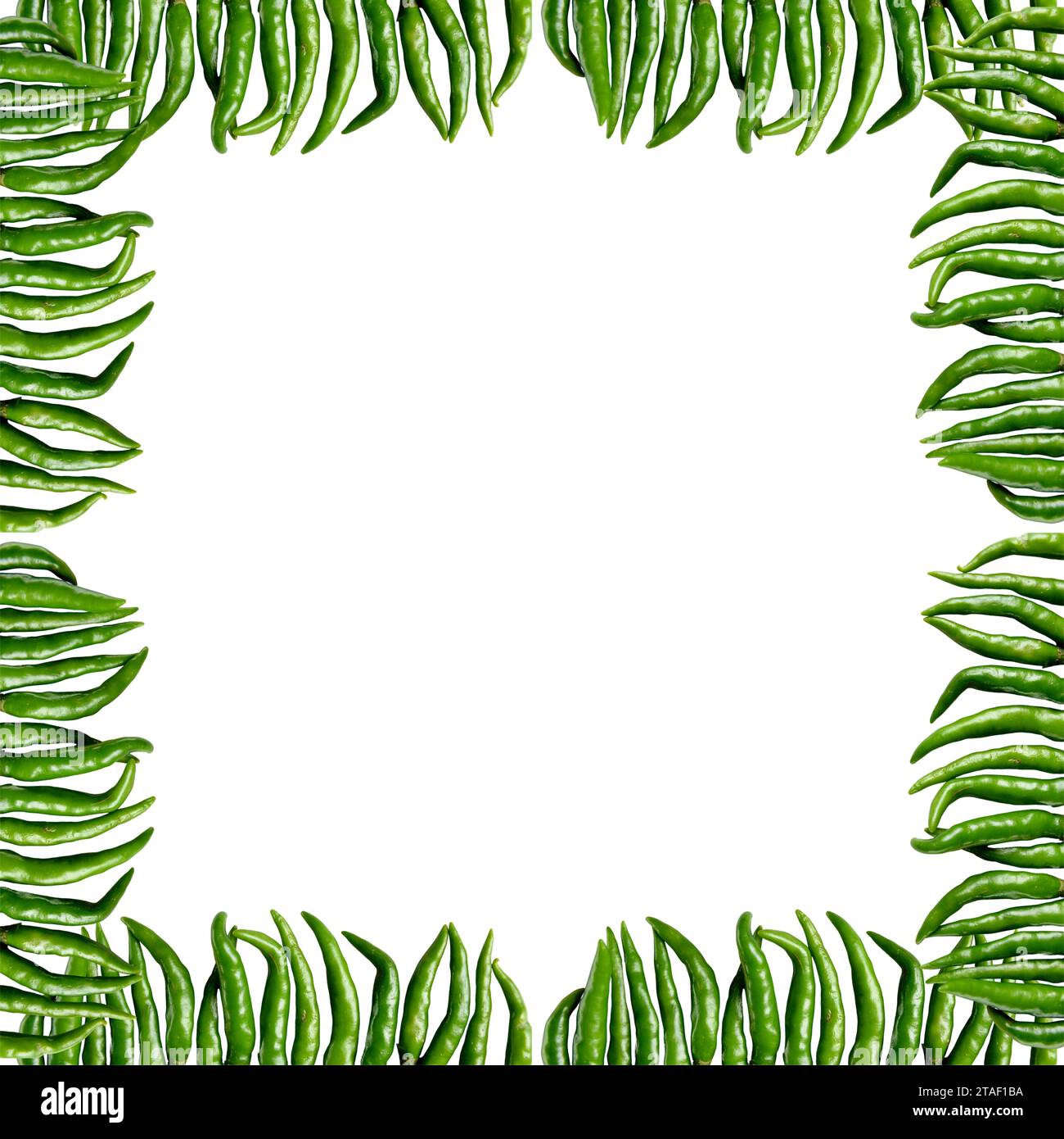 Green Chili Square border with white background, chilies, Capsicum