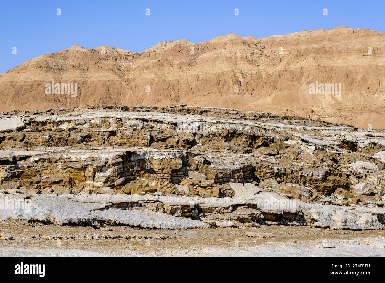 Dead Sea coast with stones covered by salt. Stock Photo
