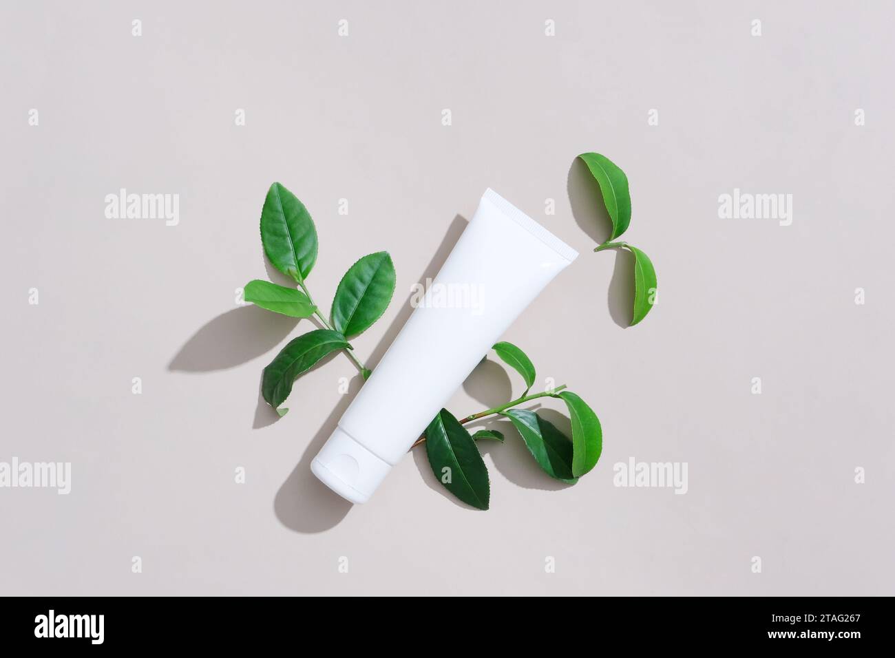 The antioxidant, antiinflammatory and antibacterial properties in