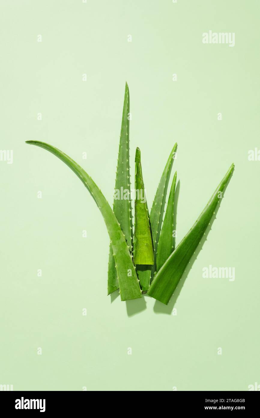 Aloe emodin hi-res stock photography and images - Alamy