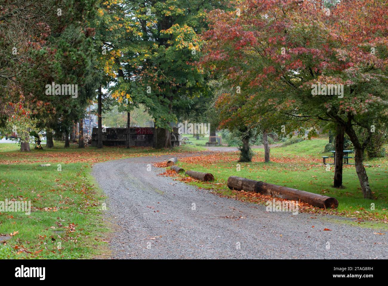 Gravel road winds through roadside park on a rainy fall day in Gold Bar