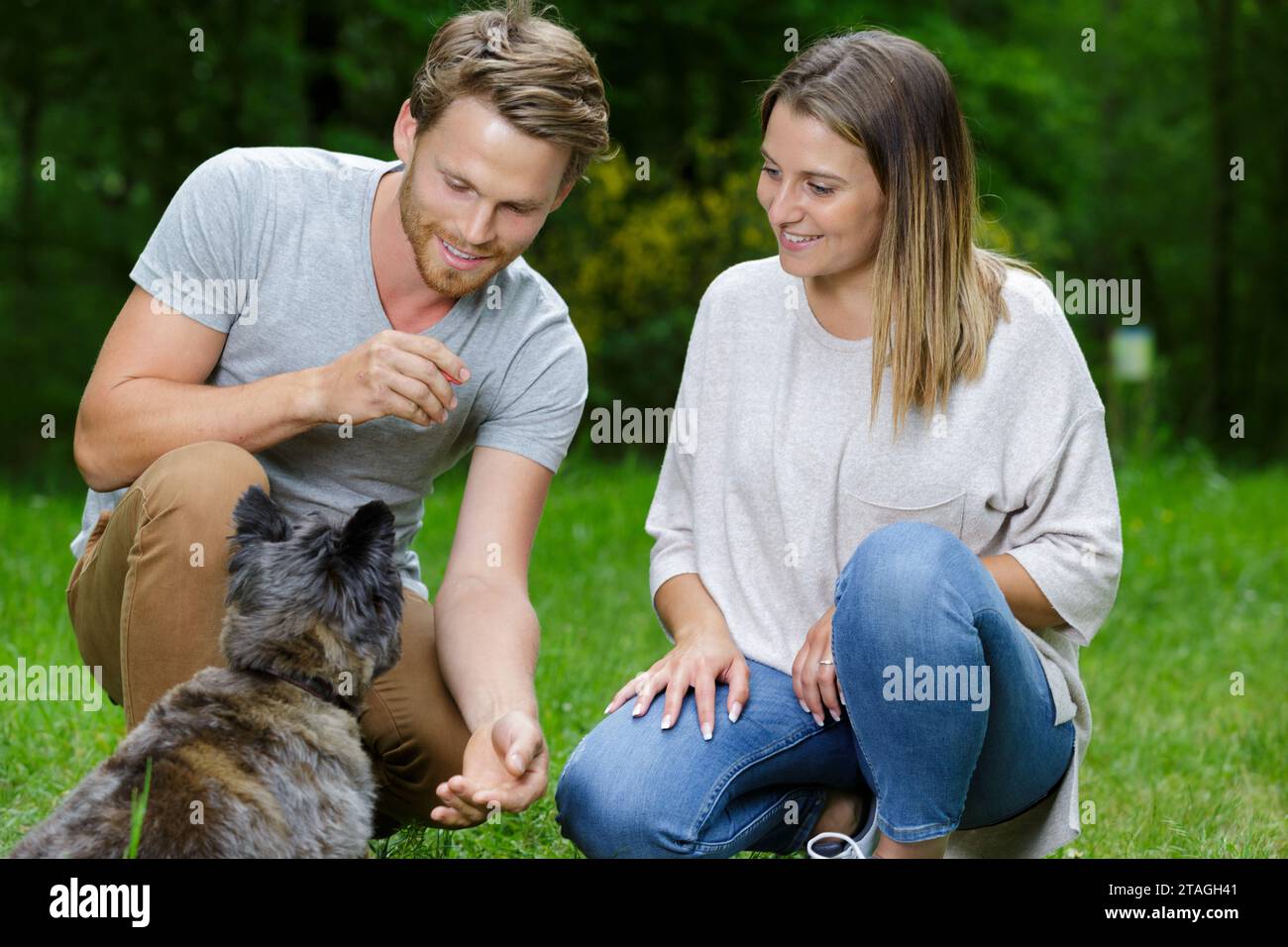 Couple dog having picnic hi-res stock photography and images - Alamy