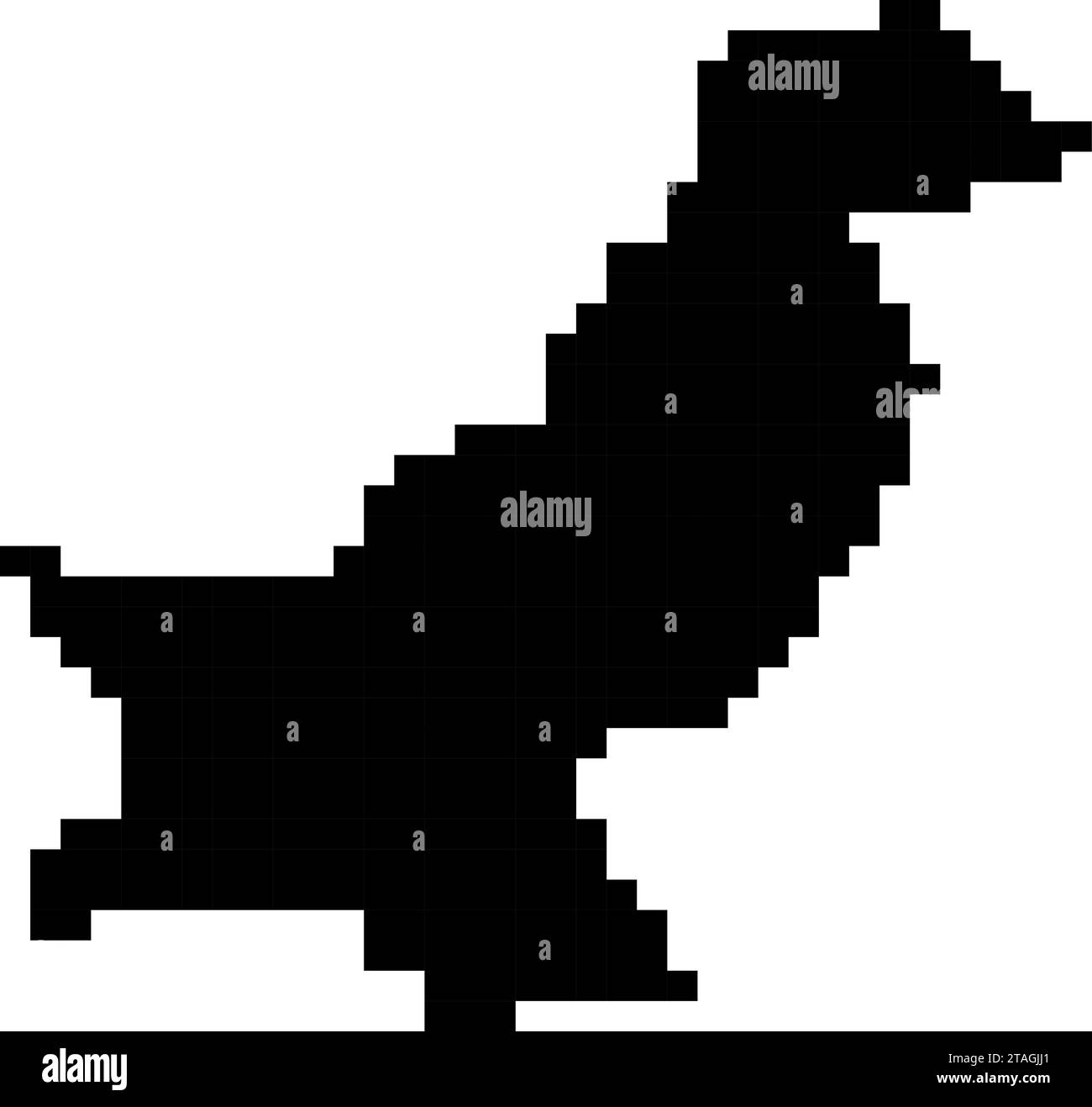 Pakistan map silhouette from black square pixels. Vector illustration