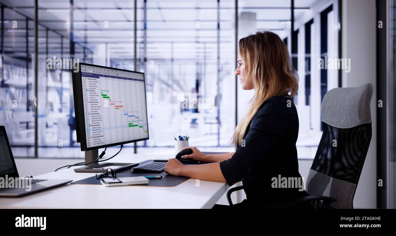 Gantt Software Project Document Plan List Banner Stock Photo