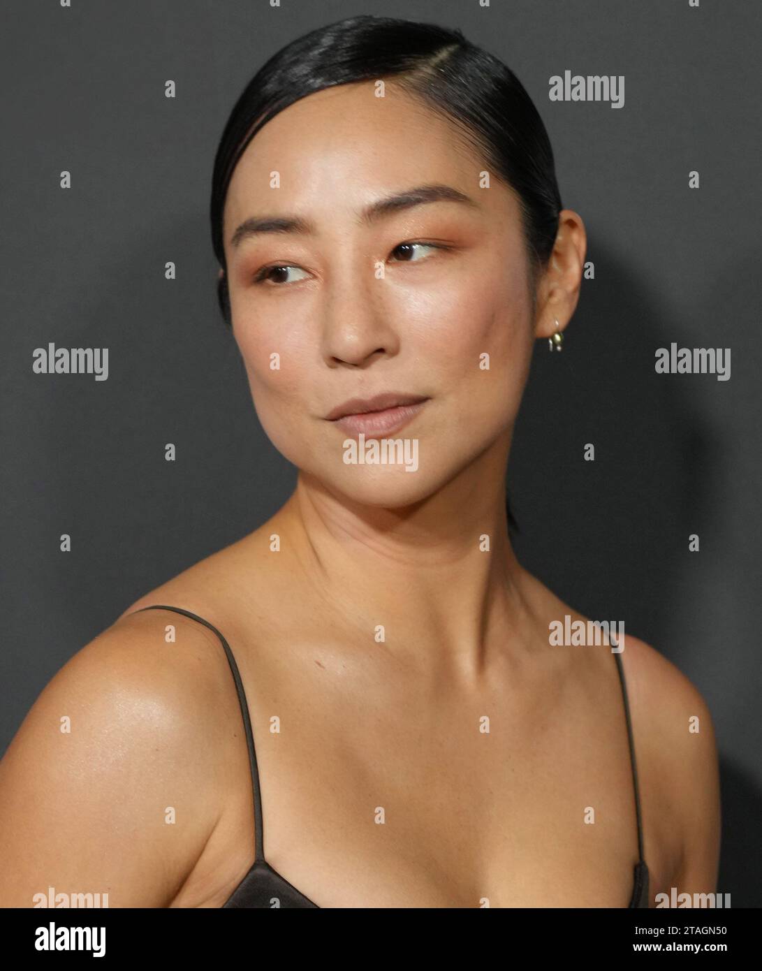 Los Angeles, USA. 30th Nov, 2023. Greta Lee at the 2023 WIF Honors