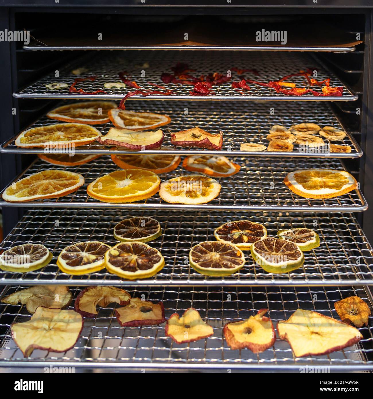 The Food Dehydrator Machine a device for drying vegetables and fruits