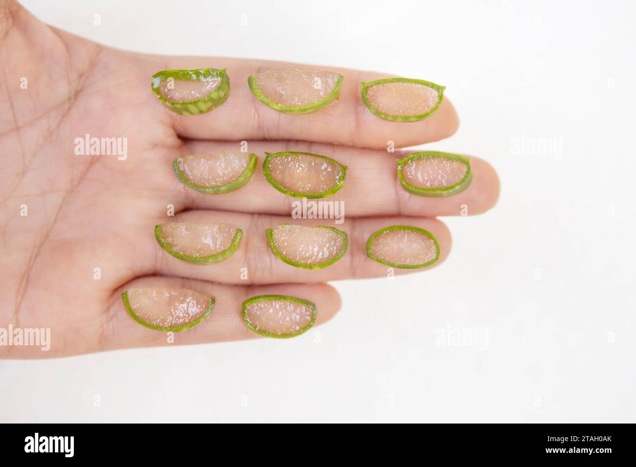 terreau pour aloe vera Terreau maison pour plantes succulentes