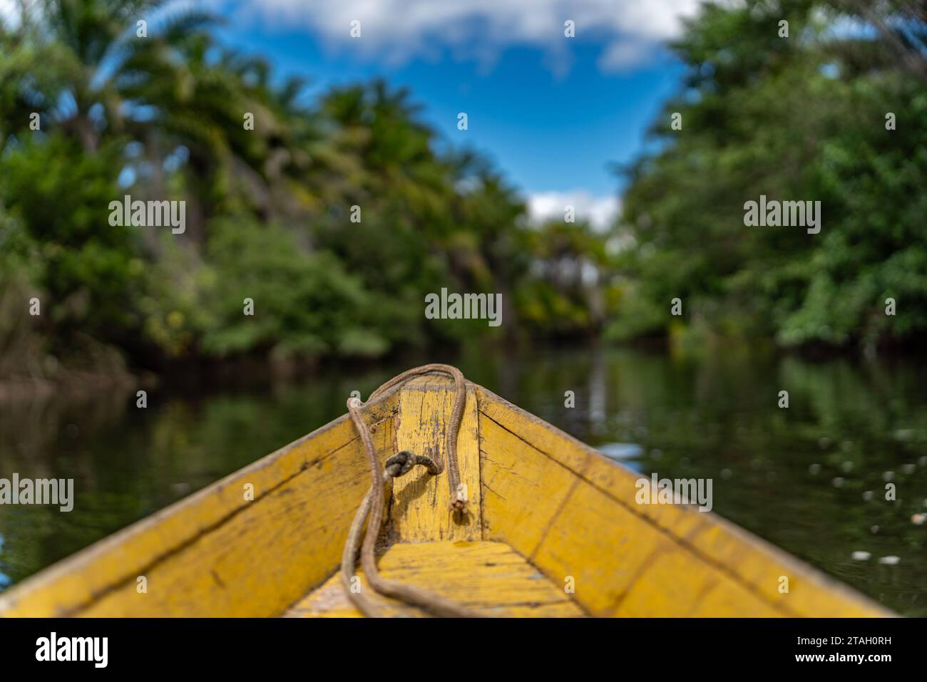 Serene Canoe Trip Through a Tropical Rainforest River Stock Photo - Alamy