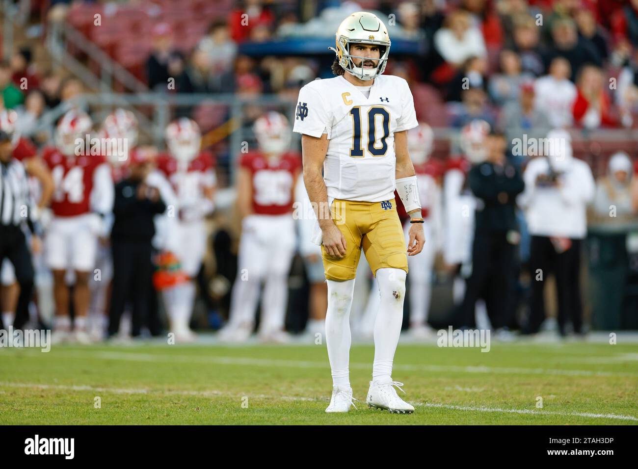 Notre Dame Fighting Irish quarterback Sam Hartman (10) looks to the sideline during a college football regular season game against the Stanford Cardin Stock Photo