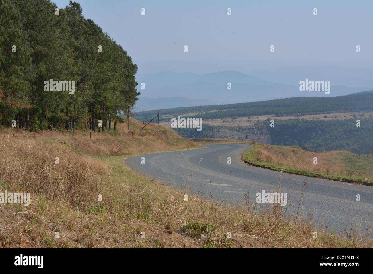 a winding road in the beautiful low veld in kaapche hoop. Stock Photo