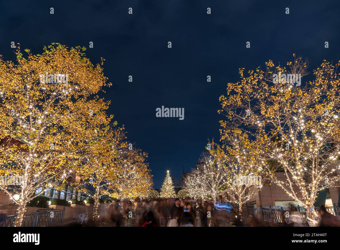 Yebisu Garden Place Winter Illumination festival, famous romantic light up events, beautiful view, popular tourist attractions, travel destinations Stock Photo