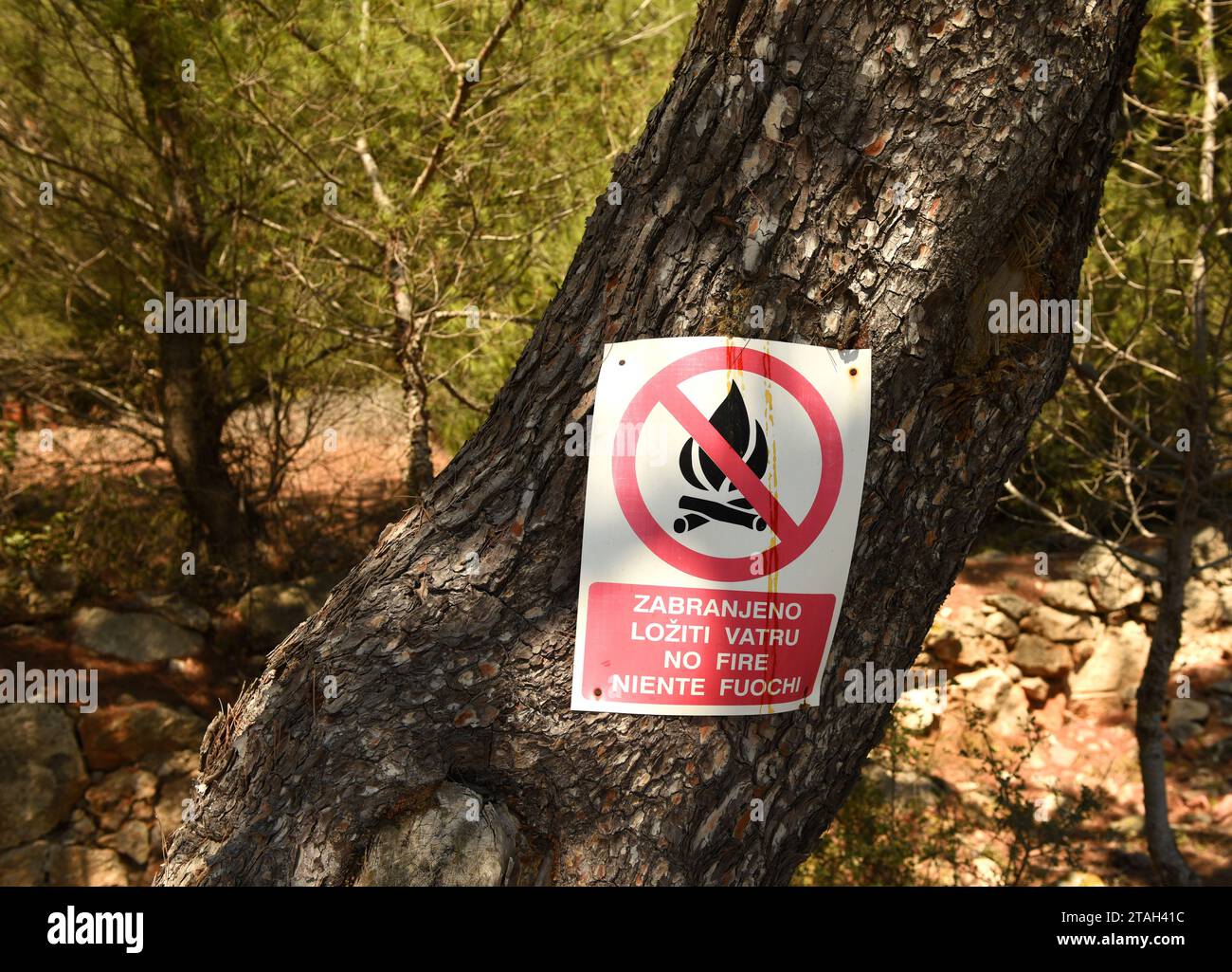 Lastovo, Croatia - August 2017: Sign 'No Fire' in forest on island Lastovo, Croatia. Stock Photo