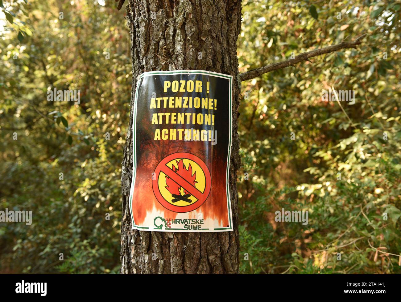 Lastovo, Croatia - August 2017: Sign 'No Fire' in forest on island Lastovo, Croatia. Stock Photo