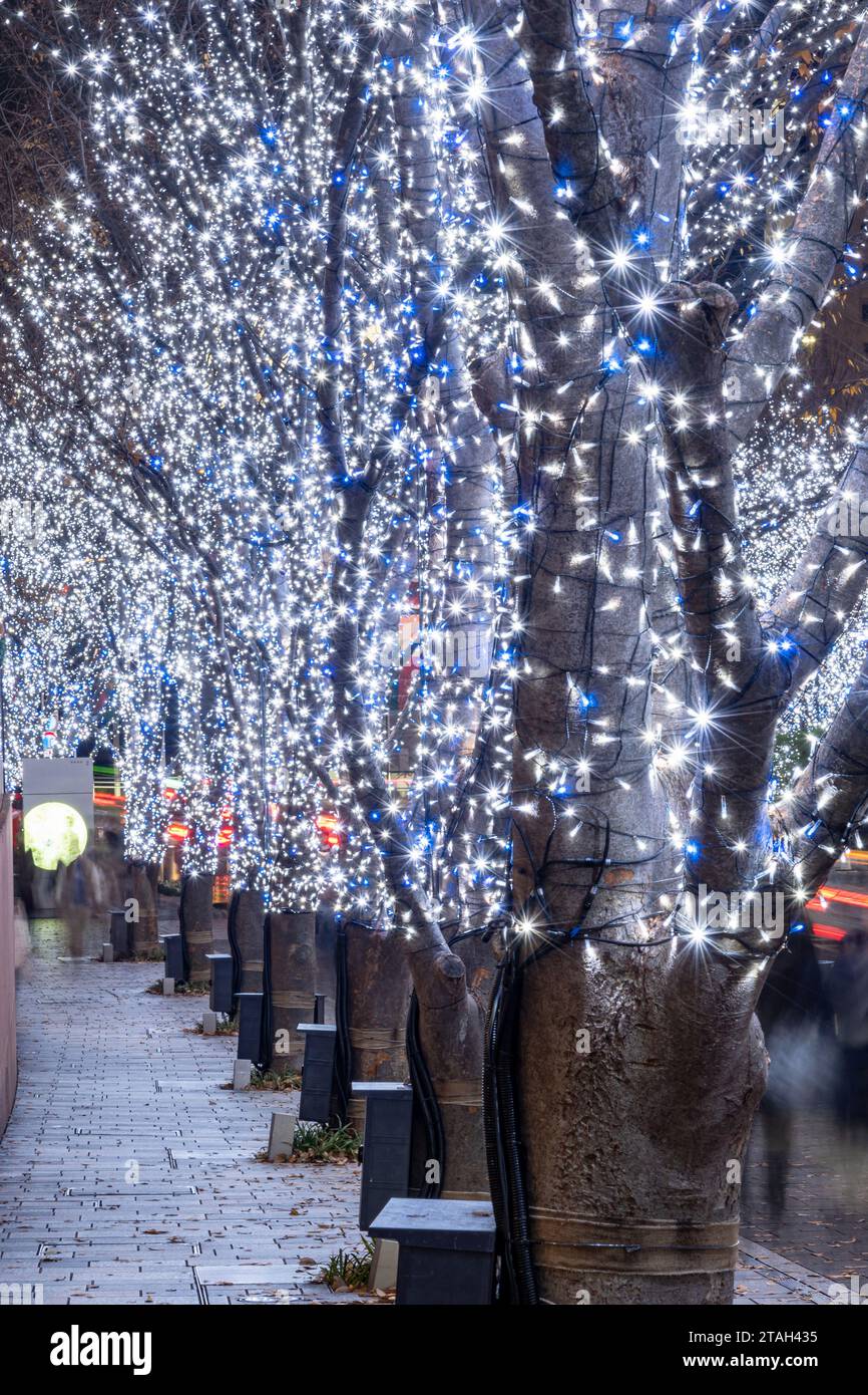 Roppongi Hills winter illumination festival ( Keyakizaka Galaxy Illuminations ), beautiful view, popular tourist attractions, travel destinations Stock Photo