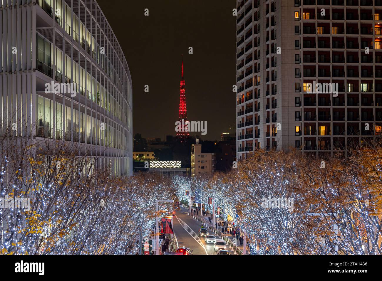 Roppongi Hills winter illumination festival ( Keyakizaka Galaxy Illuminations ), beautiful view, popular tourist attractions, travel destinations Stock Photo