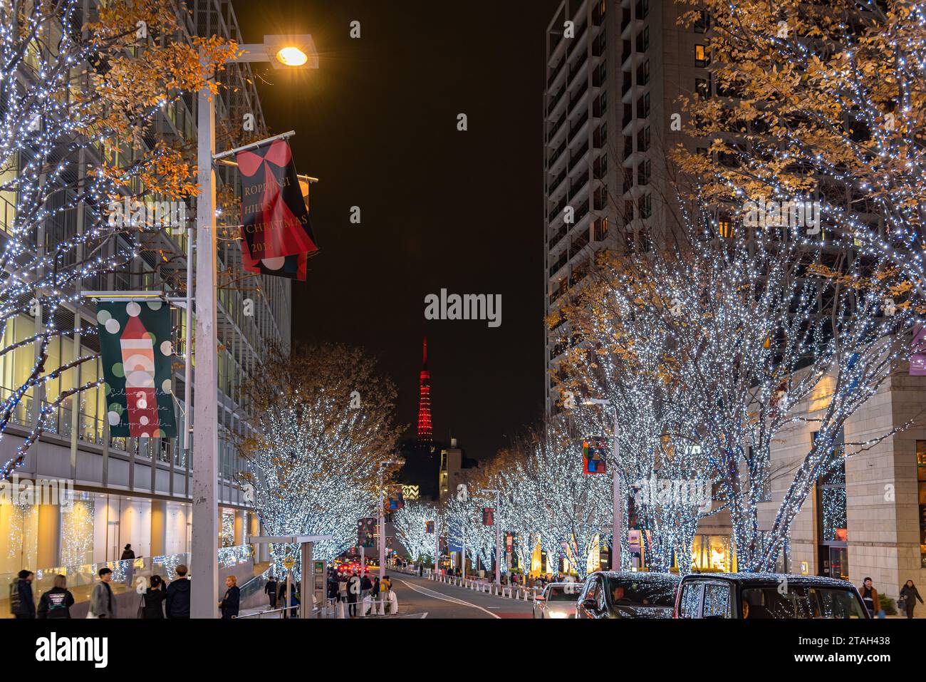 Roppongi Hills winter illumination festival ( Keyakizaka Galaxy Illuminations ), beautiful view, popular tourist attractions, travel destinations Stock Photo