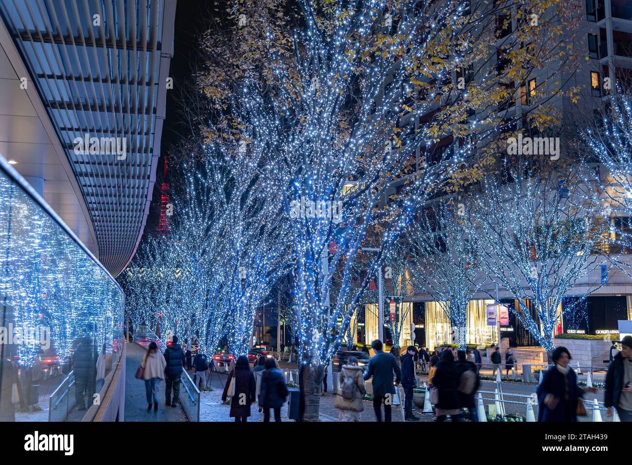 Roppongi Hills winter illumination festival ( Keyakizaka Galaxy Illuminations ), beautiful view, popular tourist attractions, travel destinations Stock Photo