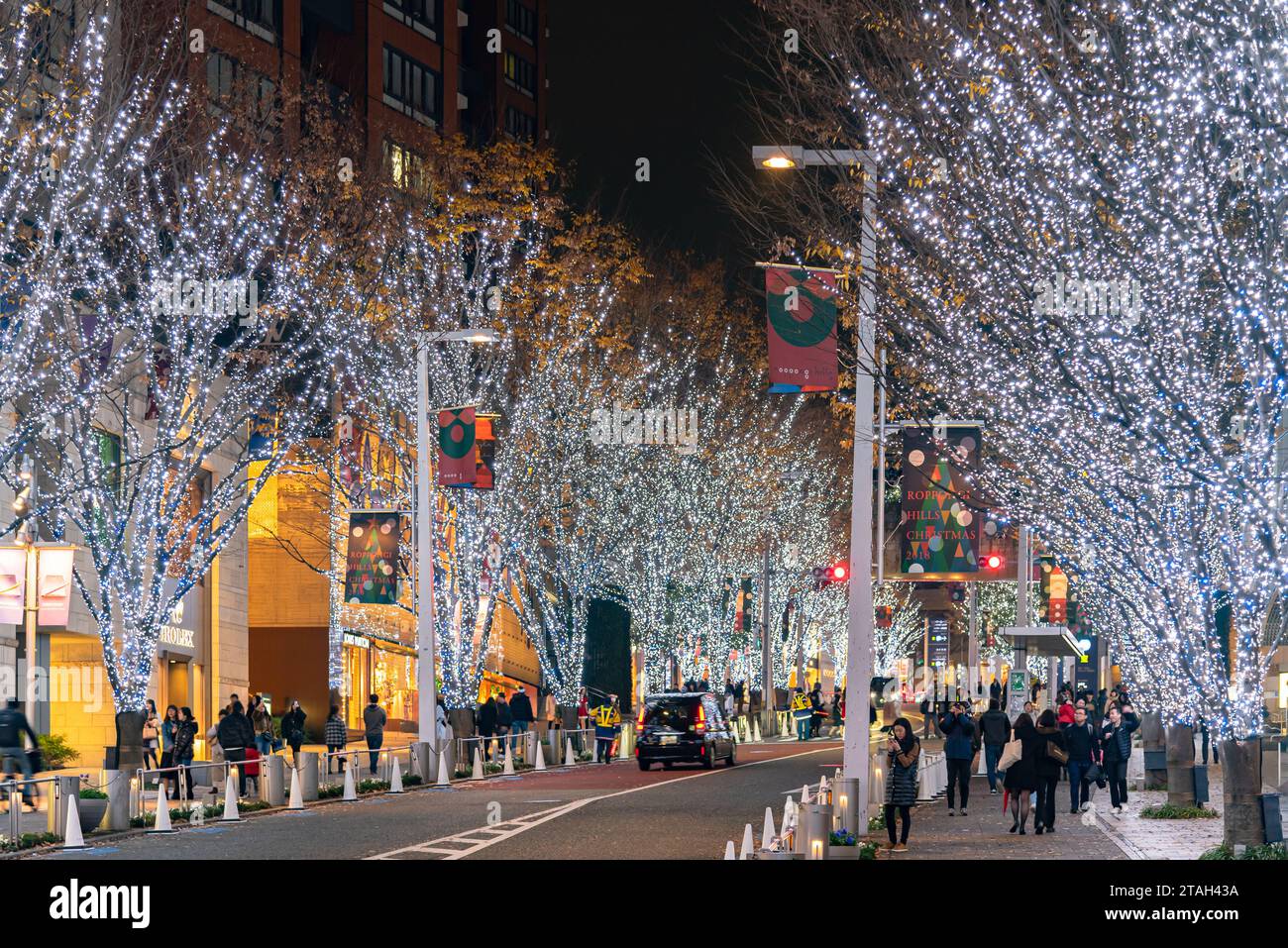Roppongi Hills winter illumination festival ( Keyakizaka Galaxy Illuminations ), beautiful view, popular tourist attractions, travel destinations Stock Photo