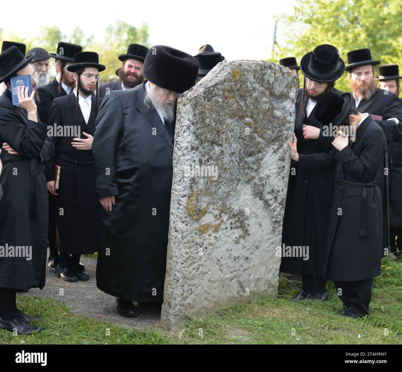 Seksual qoshni va qoshni porno