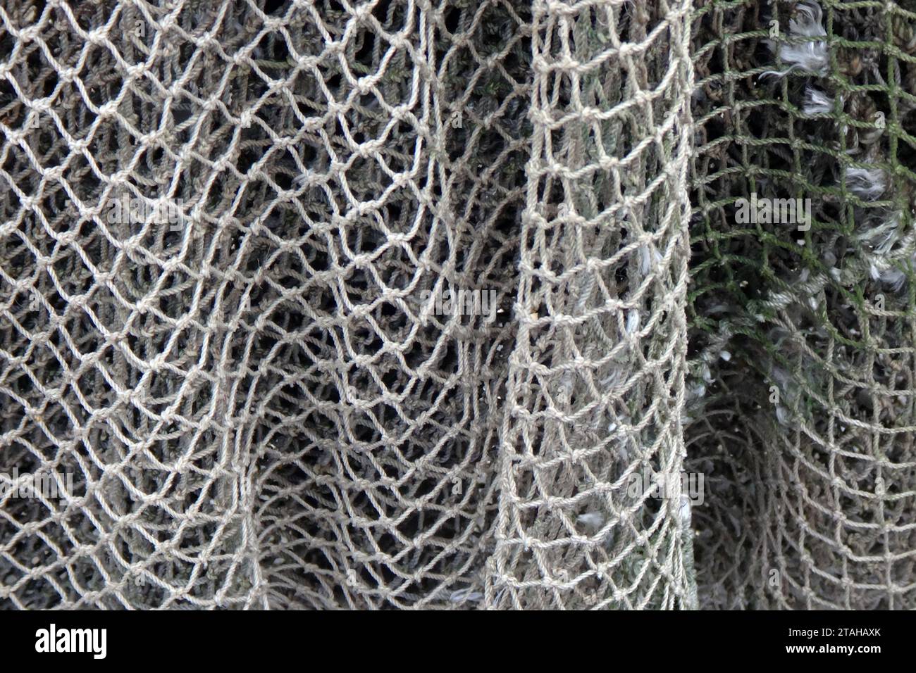 Decorative fish net hi-res stock photography and images - Alamy