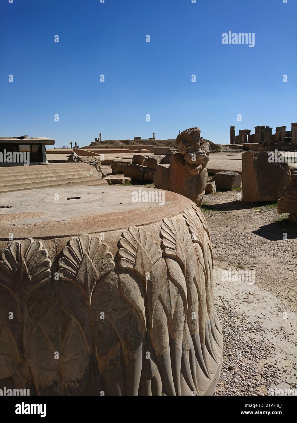 Hieroglyphs carved on the wall of an ancient temple. Remains of Persepolis. Achaemenid period. Antiquities before Christ Stock Photo