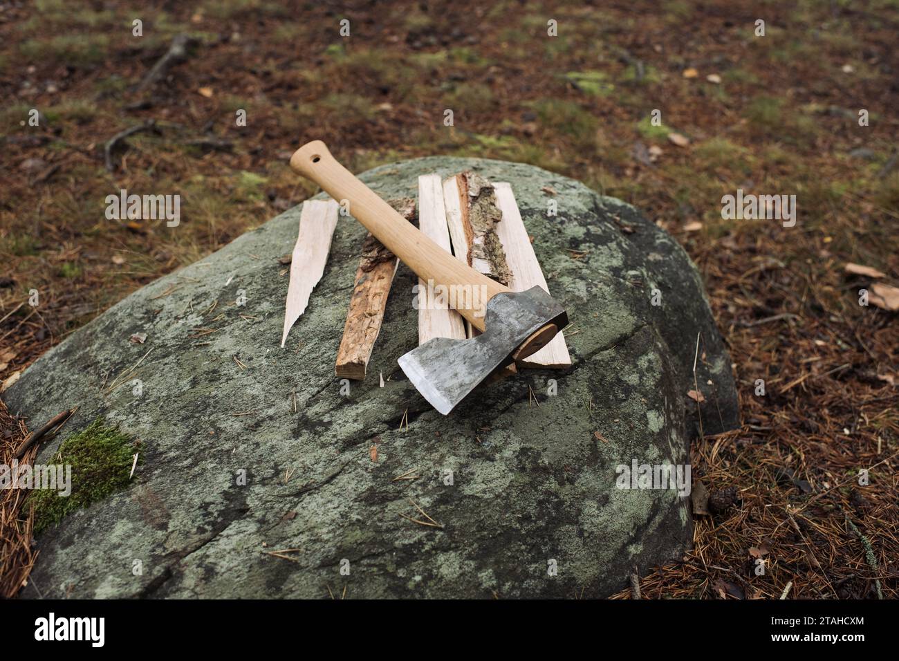 axe and chopped wood on a rock in the forest Stock Photo