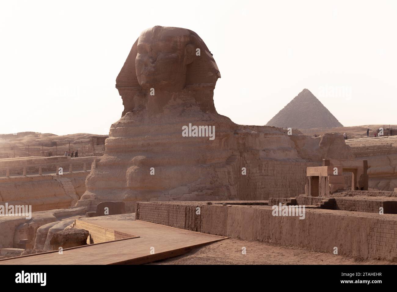 the Great Sphinx of Gyza during golden hour Stock Photo - Alamy