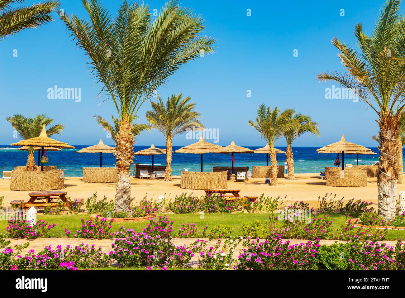 Sunny resort beach with palm trees and umbrellas on the shores of the Red Sea. Safaga, Egypt - October 22, 2023. Stock Photo