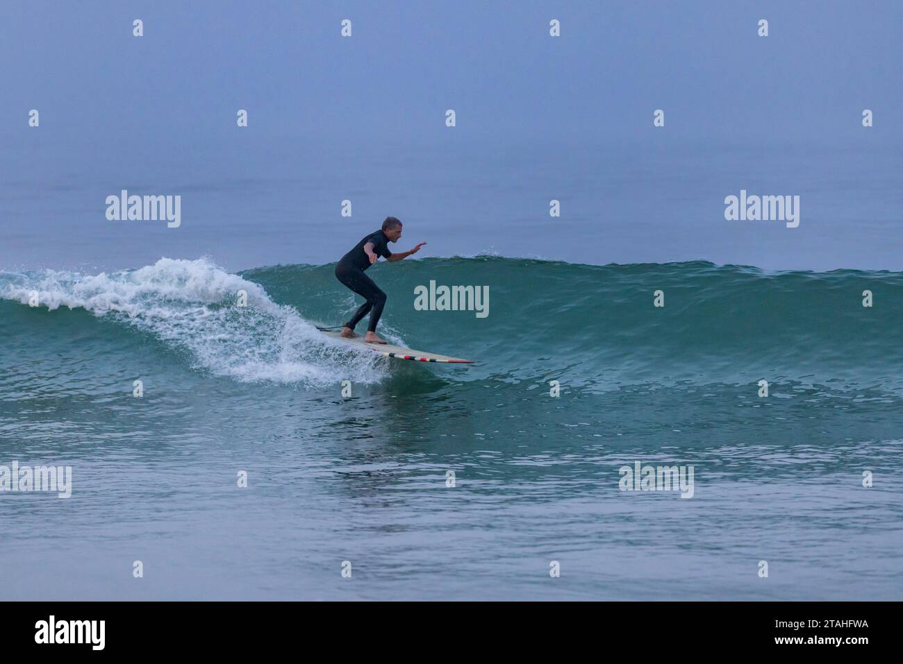 Cod catches hi-res stock photography and images - Alamy