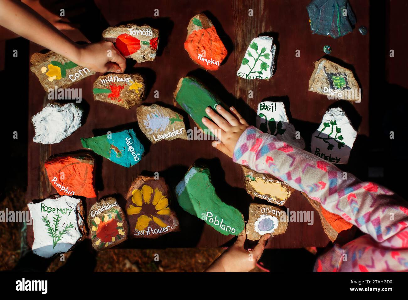 Hands holding garden markers with painted rocks Stock Photo