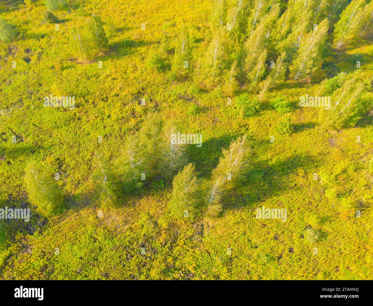 Aerial view autumn tree colors hi-res stock photography and images - Alamy