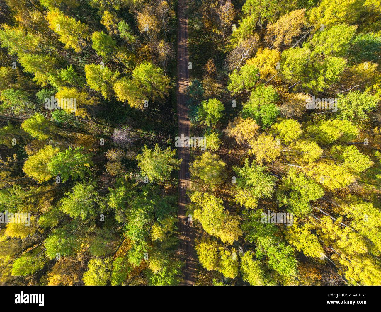 Aerial view of a rural road with in yellow and orange autumn fo Stock ...