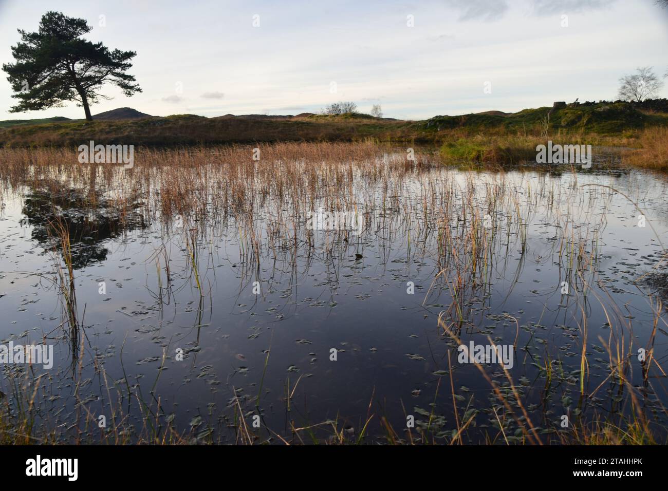 Lake district fells at Kelly hall tarn and old man of coniston Stock Photo