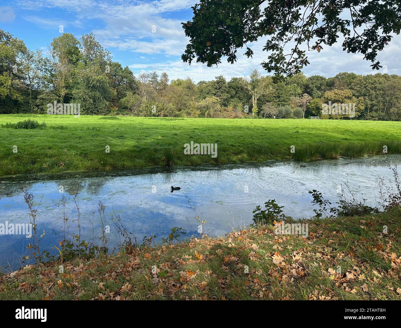 Beautiful water channel, green grass and trees in park Stock Photo