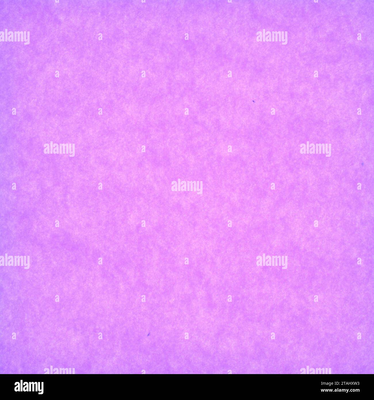 Colorful paper texture. Violet abstract background. Copy space for placement of text or note for marketing use. Stock Photo