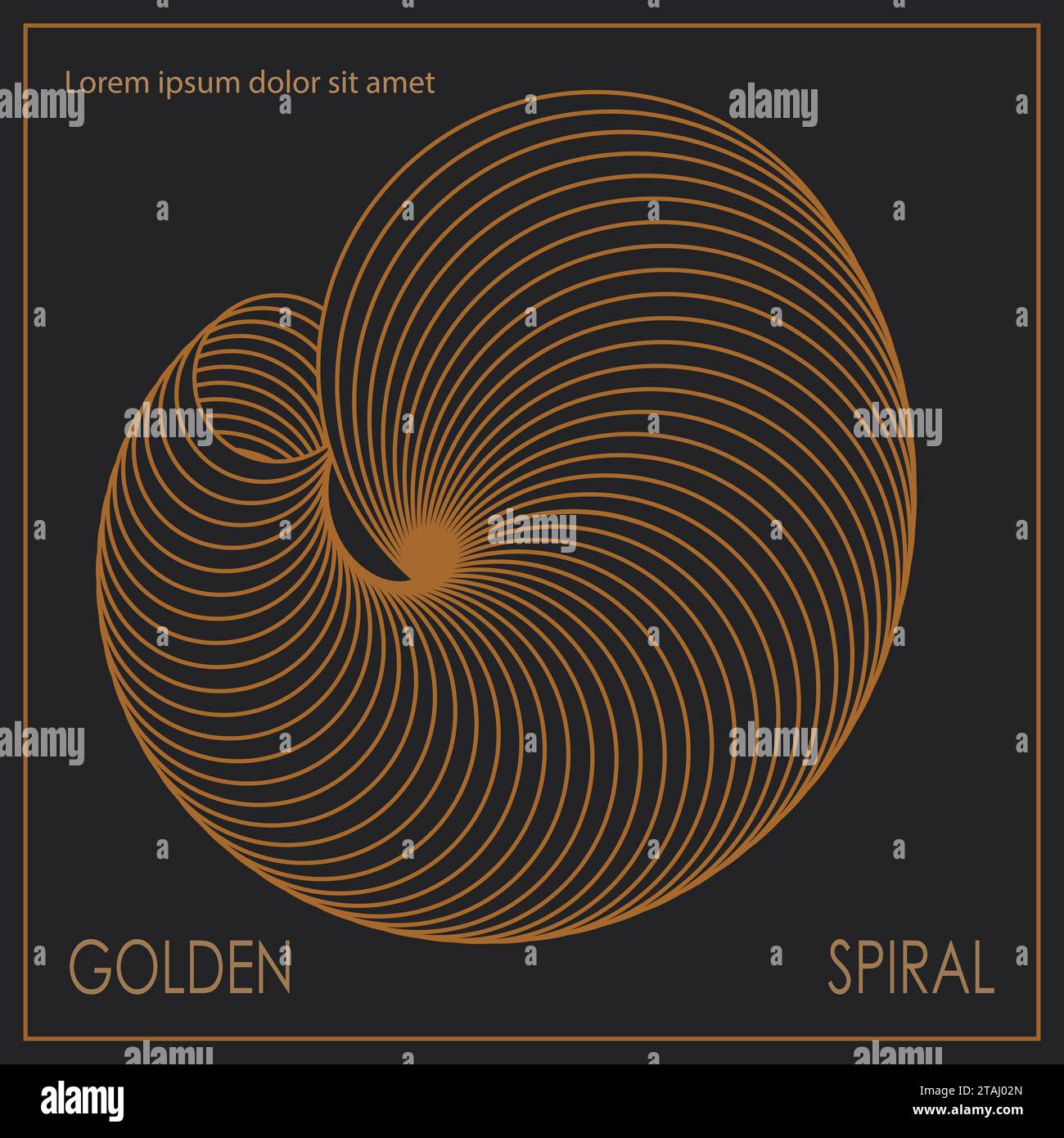 The golden spiral. A design template for the design of a cover, banner, poster. Linear composition for interior design, decorations and creative ideas Stock Vector