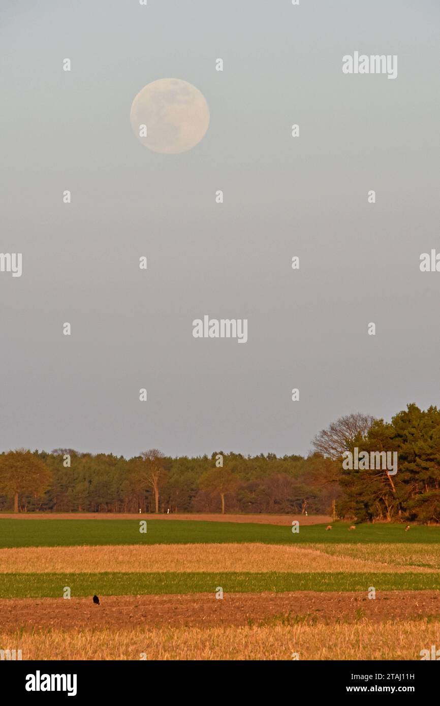 Trockenmittel -Fotos und -Bildmaterial in hoher Auflösung – Alamy