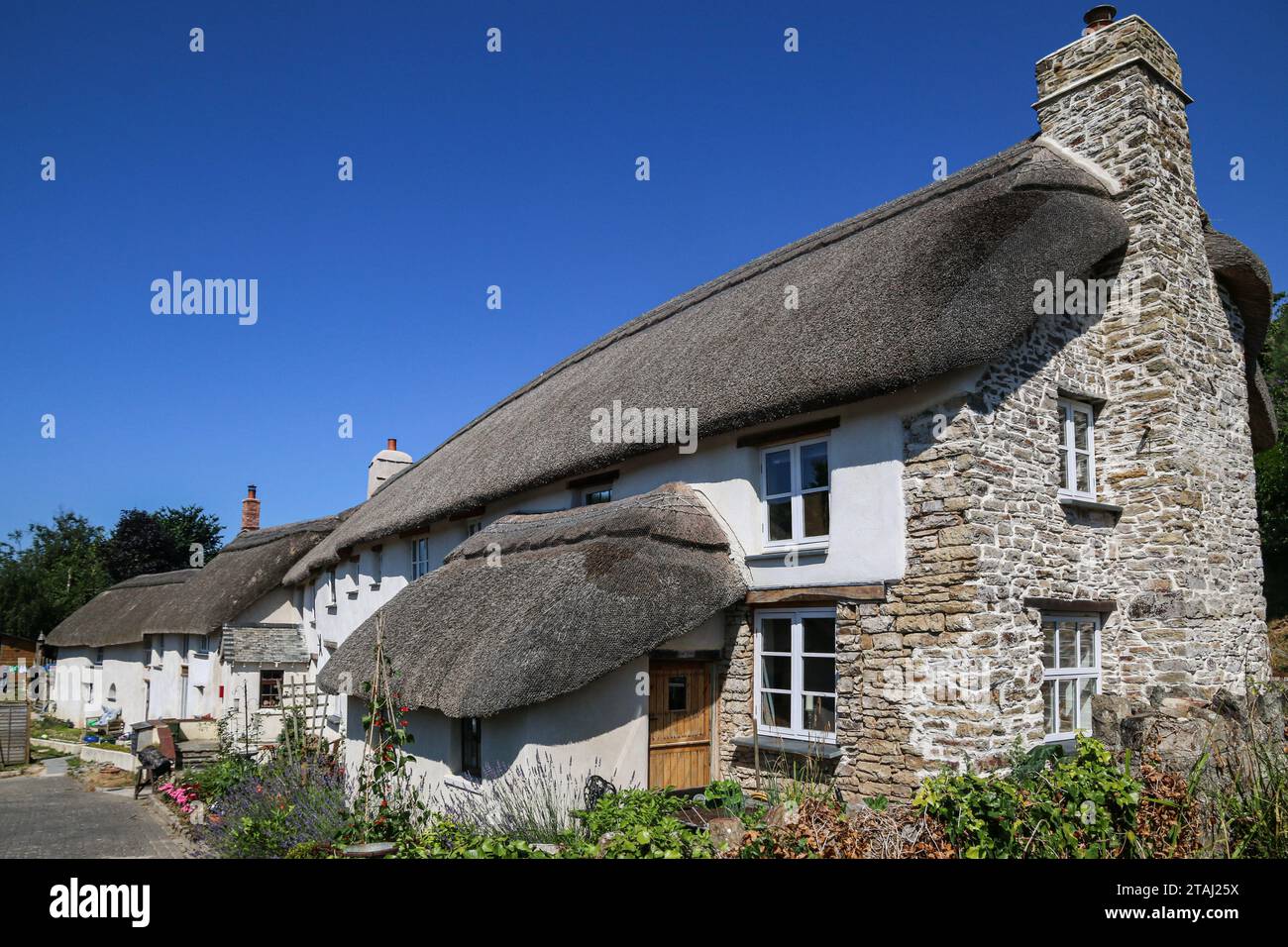 Typical thatched cottages in Croyde village, Devon, England Stock Photo