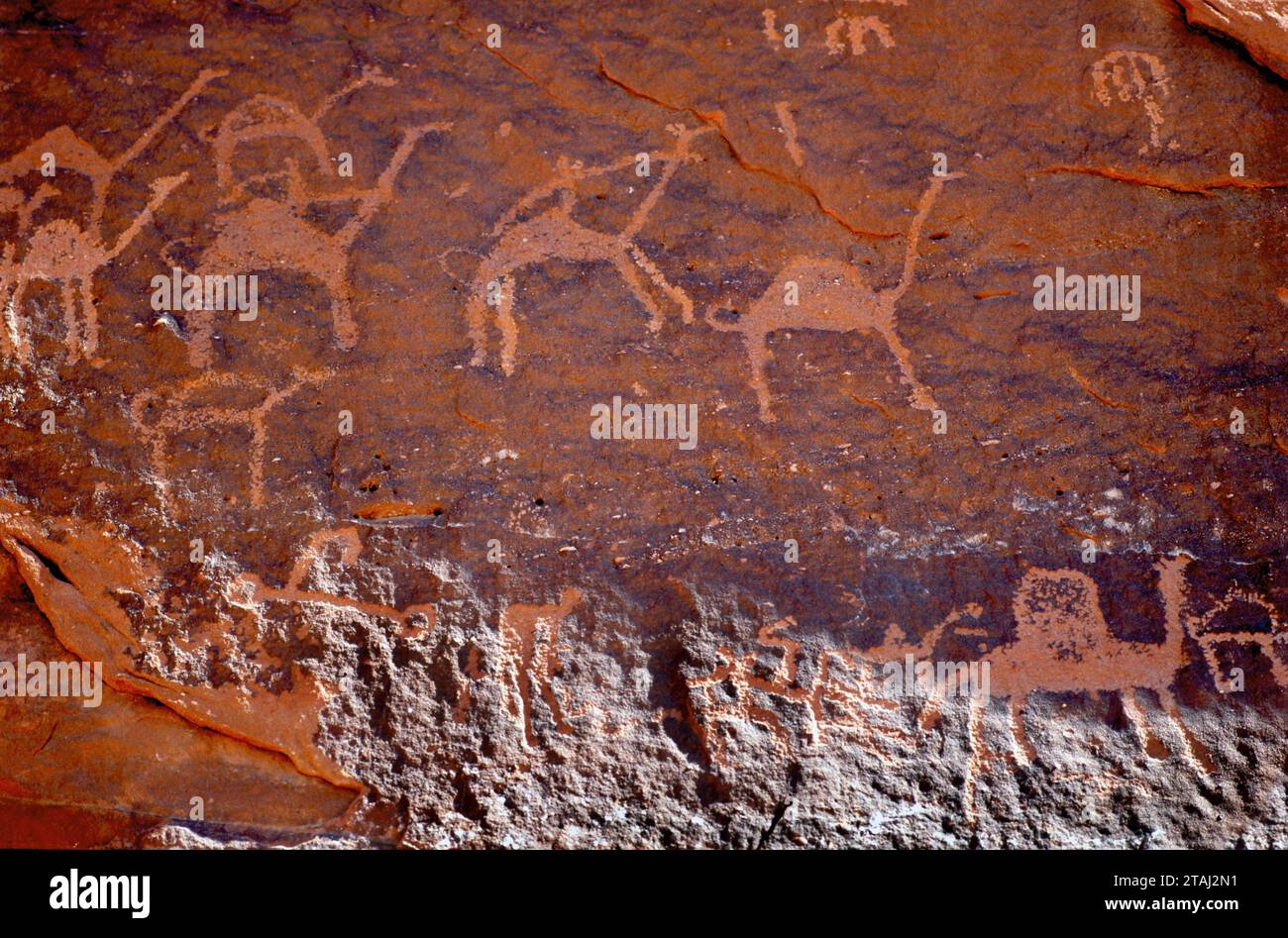 Close up frontal view of the prehistoric stone inscriptions and petroglyphs made by nomadic bedouins on the surface of red sandstone rocks of Wadi Rum Stock Photo