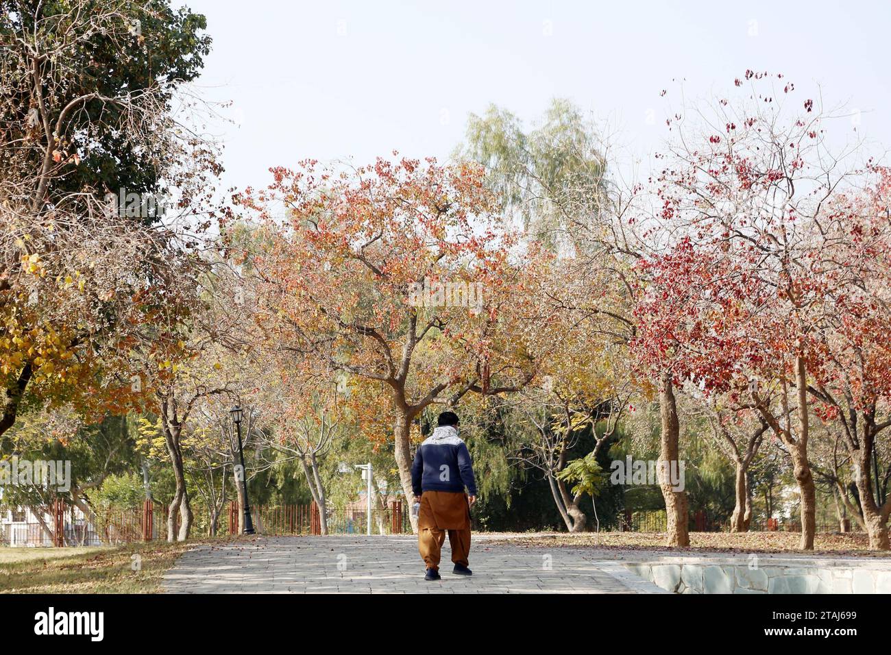 Islamabad, Pakistan. 1st Dec, 2023. A man walks in the Fatima Jinnah Park in Islamabad, capital of Pakistan, Dec. 1, 2023. Credit: Ahmad Kamal/Xinhua/Alamy Live News Stock Photo