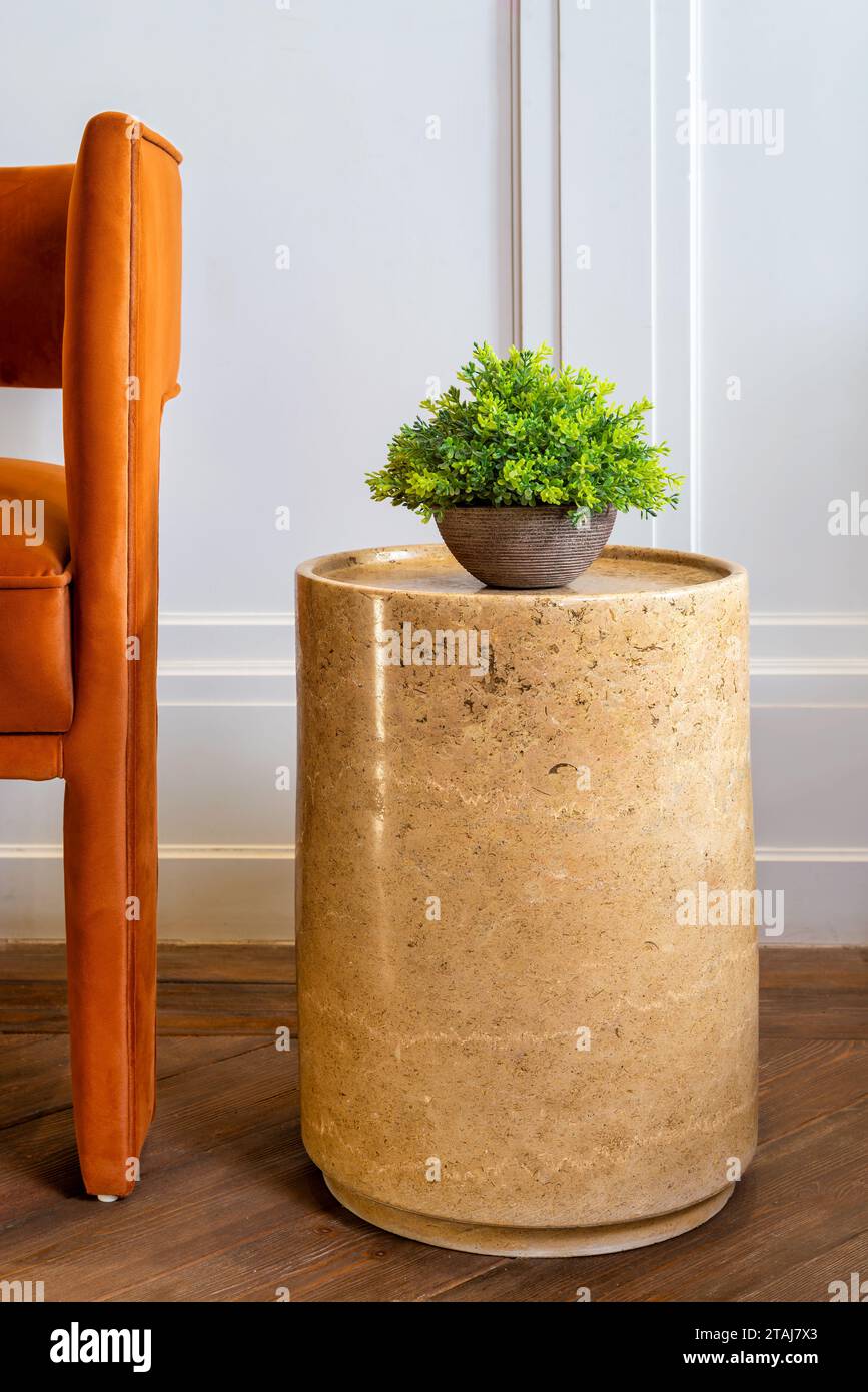 Still life of a potted plant sits on a marble biege round table next to ...