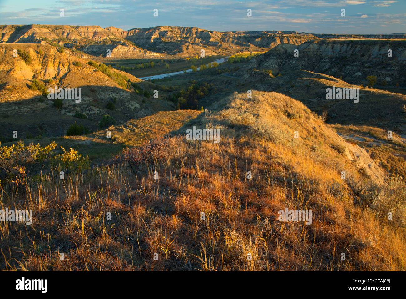 Prairie grassland with Little Missouri River, Theodore Roosevelt