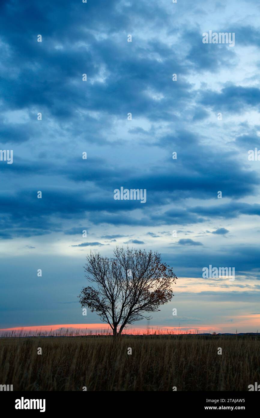 Box elder sunrise at Skyline Vista, Theodore Roosevelt National Park