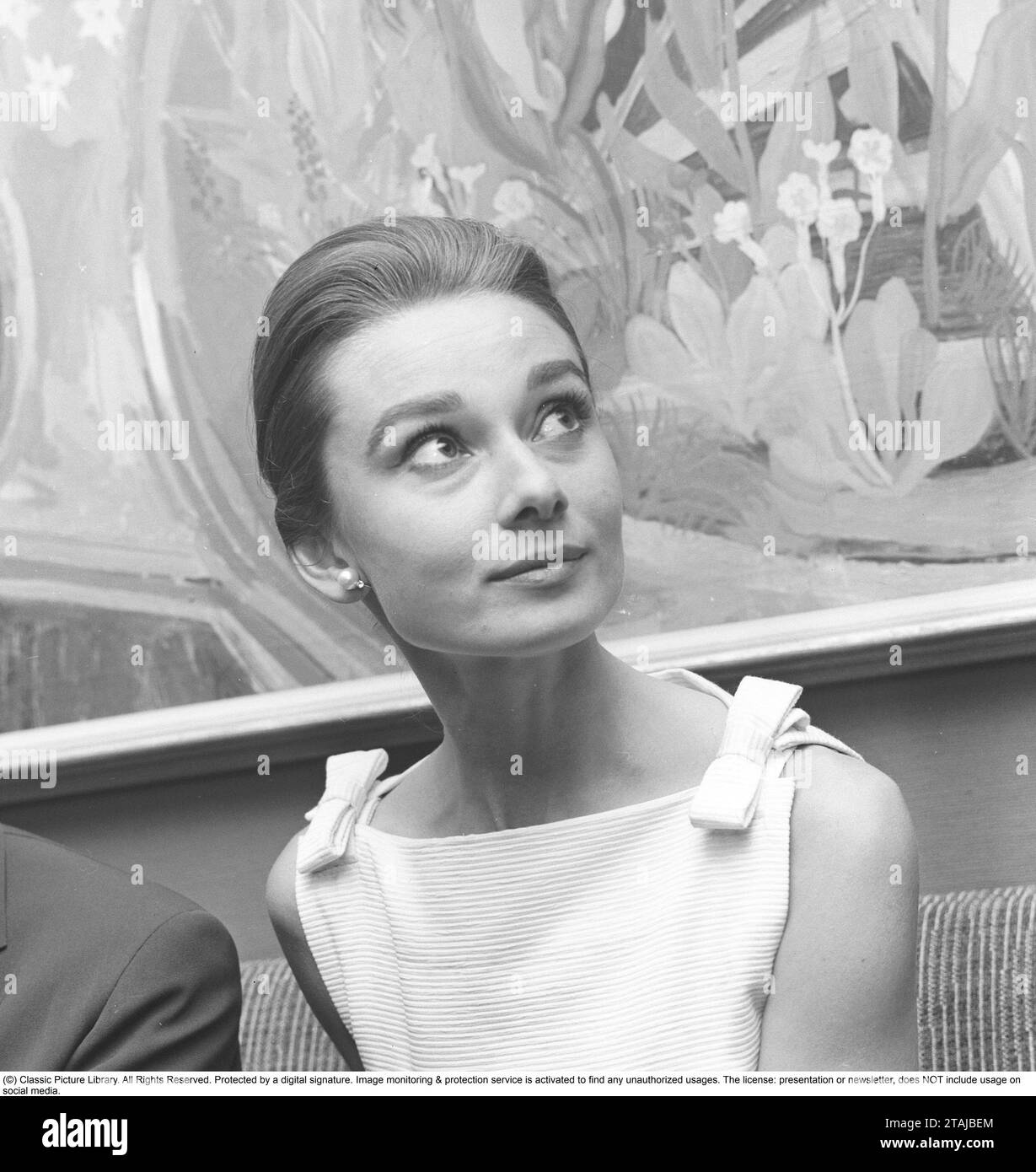 Audrey Hepburn. British actress. Born 4 may 1929 - 20 january 1993. Pictured when being 30 years old,  visiting Stockholm Sweden in September 1959. Stock Photo