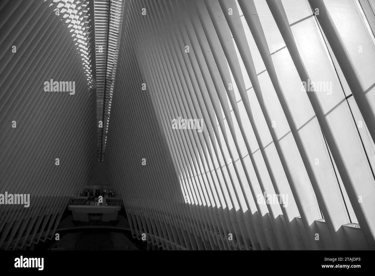 The Oculus, Westfield World Trade Center. Stock Photo