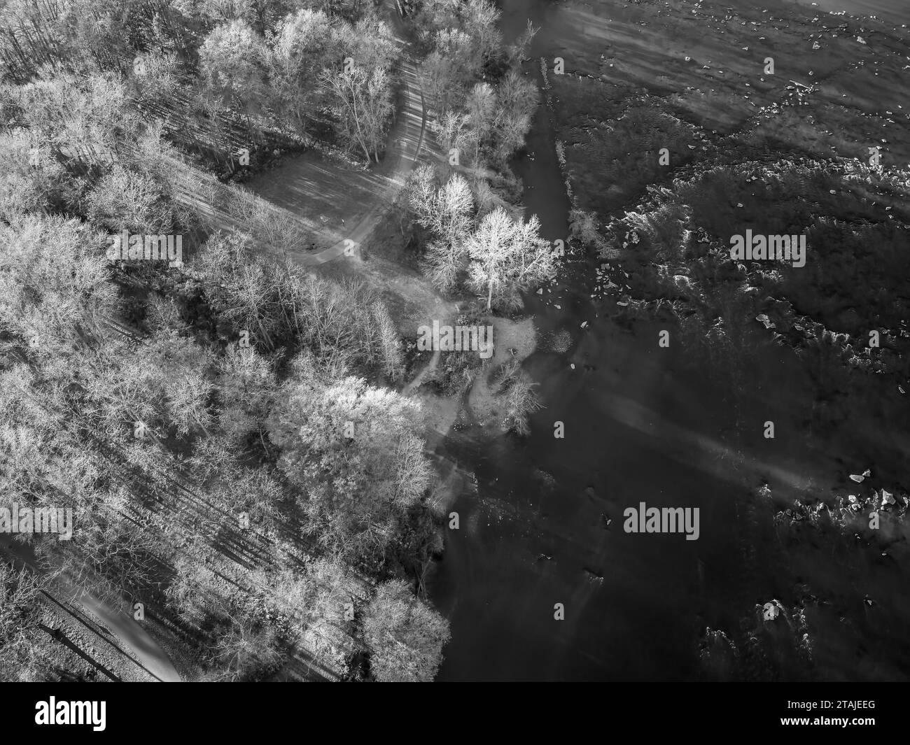 Overhead view of rocky river and trees with long shadows in black and