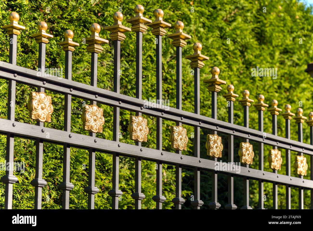 Beautiful decorative cast metal wrought fence with artistic forging. Iron guardrail close up. Stock Photo