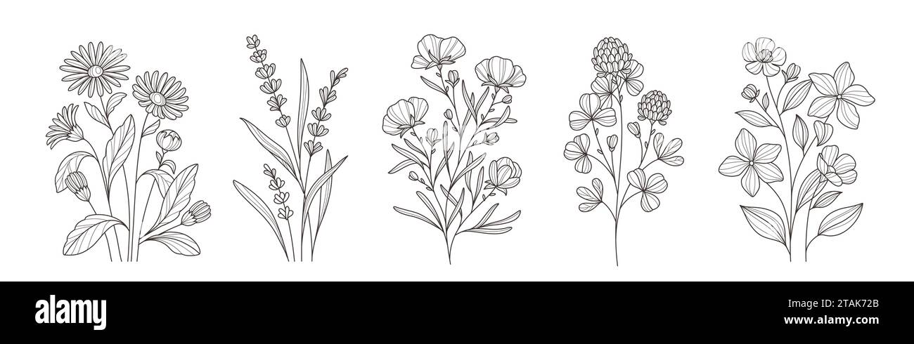 Vector Set of minimalistic flower branches in line art style Stock ...