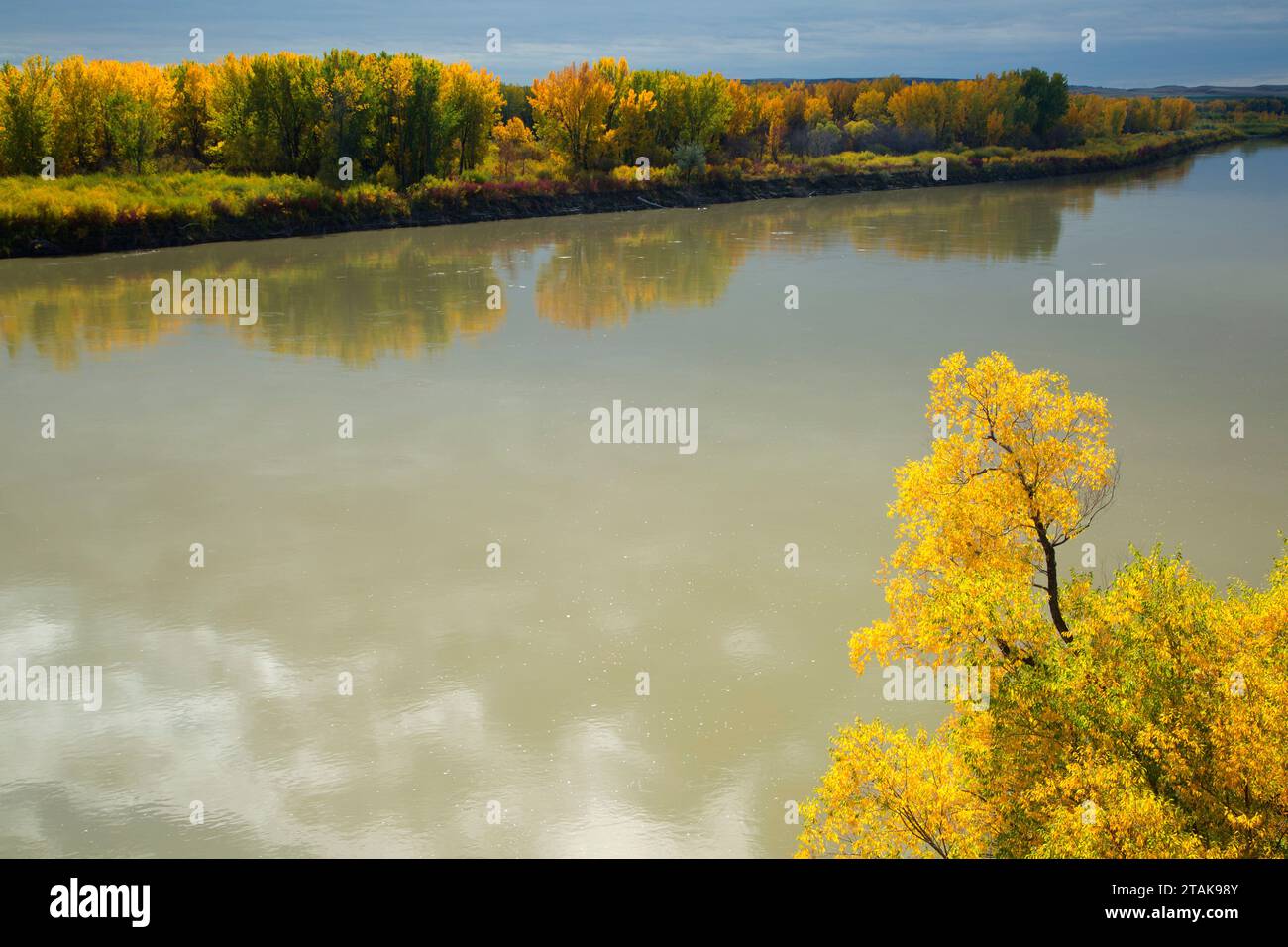 Yellowstone River from Fairview Bridge, Sundheim Park, McKenzie County