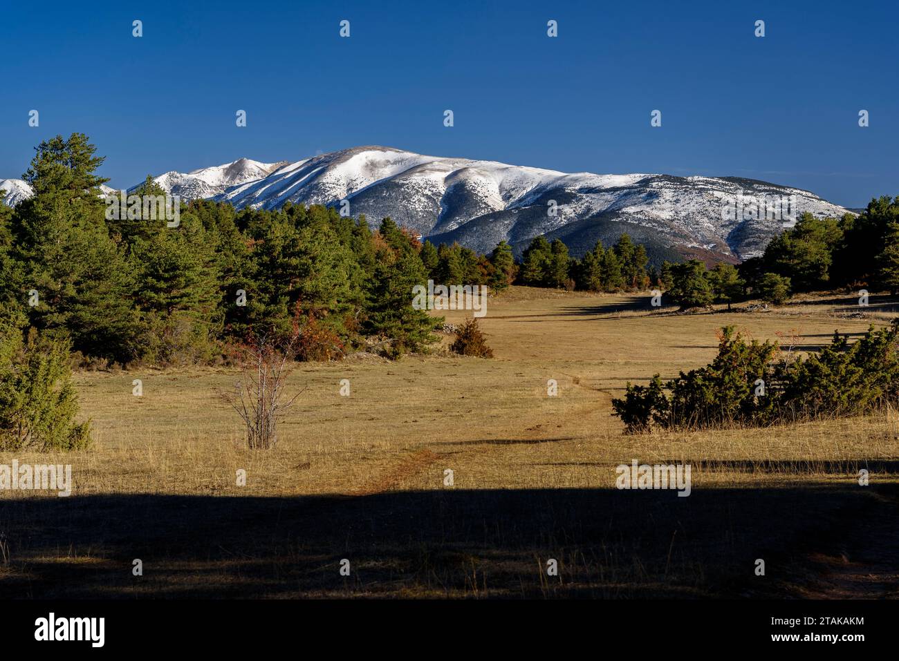 Route of the Pla de l'Àliga viewpoints from Estana. In the background, the Carabassa (Cerdanya, Catalonia, Spain, Pyrenees) Stock Photo